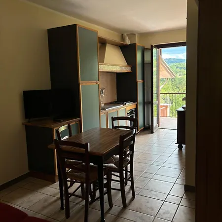 Gerbera Assisi * Piano Delle Pieve